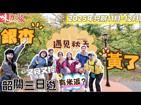 PAH03 韶關三日遊｜帽子峰國家森林公園｜黃金銀杏林｜連住國際品牌酒店｜秋天看銀杏｜韶州城｜行街宵夜｜宵夜自助餐｜每人贈送一包油粘米｜季節限定｜大型商場｜品嘗粵北名菜宴｜銀杏最佳觀賞期｜廣東銀杏黃了