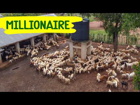 DO THIS To Always Earn Big Money in Farming.