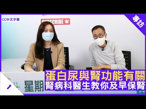 蛋白尿與腎功能有關 腎病科醫生教你及早保腎 - 鄭丹瑞《健康旦》腎病科專科 #何露儀 醫生 (CC中文字幕)