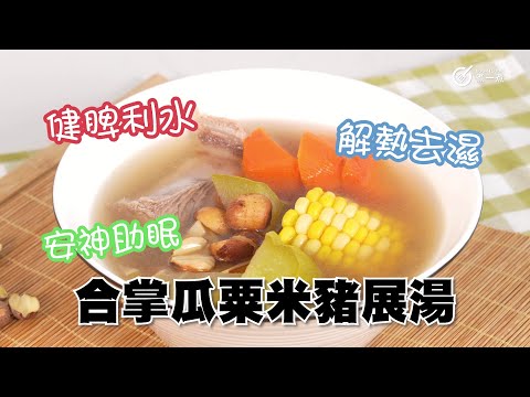 合掌瓜粟米豬展湯｜夏日靚湯｜健脾利水｜解熱去濕｜安神助眠