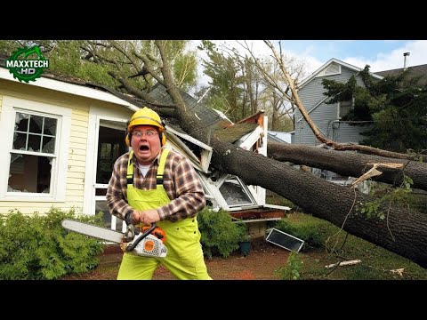 Man Almost DIES While Cutting A Tree | Tree Cutting Fails & Tree Falling on Houses Compilation