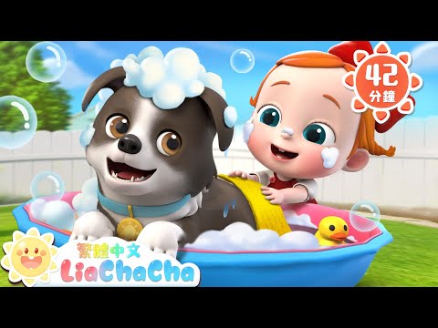 寶寶和狗狗 | 動物小夥伴 | 啟蒙教育 | 國語童謠 | 人氣兒歌 | LiaChaCha 依娜和恰恰 - 繁體中文 - 兒歌童謠