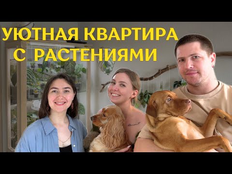 В ГОСТЯХ  у Ксении и Алексея  | 100 РАСТЕНИЙ в однокомнатной ПЕТЕРБУРГСКОЙ квартире 🌿