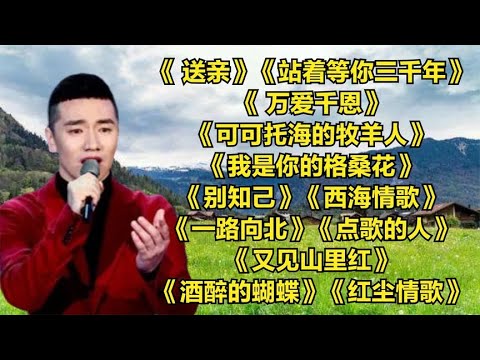 王琪《送亲》《站着等你三千年》《万爱千恩》《可可托海的牧羊人》