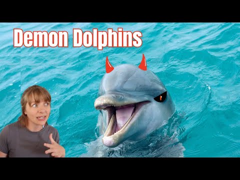 Why marine biologists know dolphins are scarier than sharks