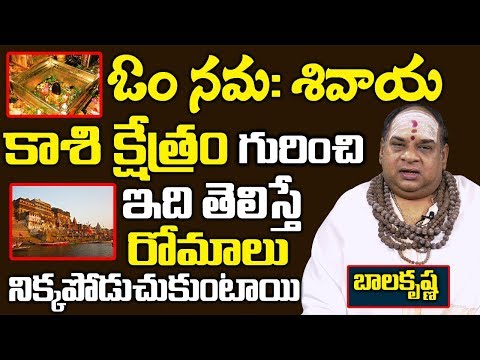 కాశీ క్షేత్రం గురించి ఇదితెలిస్తే రోమాలు నిక్కపొడుచుకుంటాయి \ balakrisha swami about Kashi Varanasi