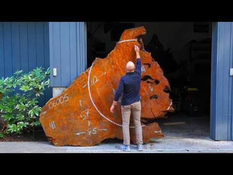 "I can't believe you cut that down for this."