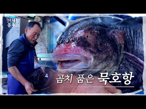 [어시장블루스2024] ep6. 곰치 품은 묵호항