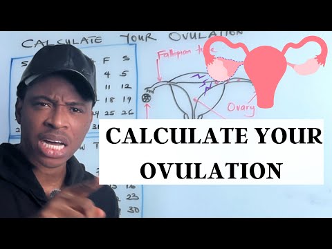 How to calculate your OVULATION in 2025 (Doctors guide) 