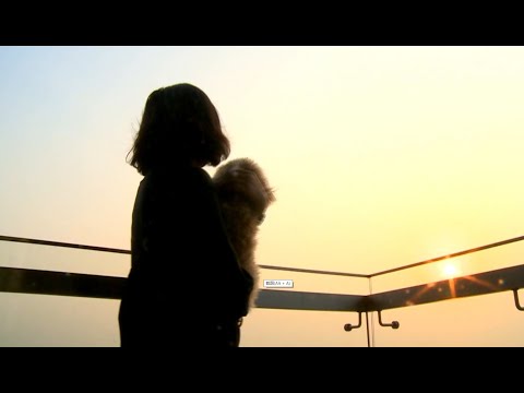 《剩女，盛女》下集