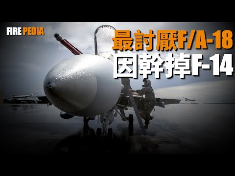 Why did the F/A-18 Hornet replace the F-14 Tomcat?