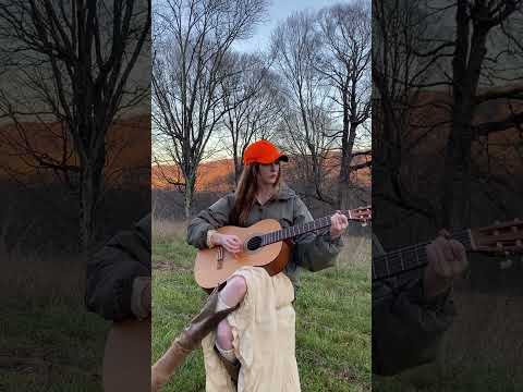 Don’t Mind it Now - Fey Fili