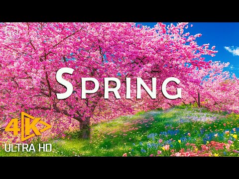 Spring Flower 4K - The Earth Awakens In A Tapestry Of Blossoms - Relaxing Music and Nature Video