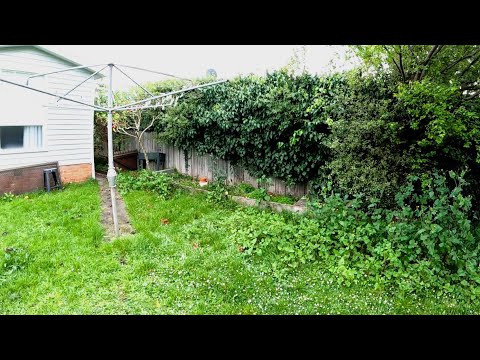 Neglected Yard gets an Amazing Transformation | Overgrown Rescue
