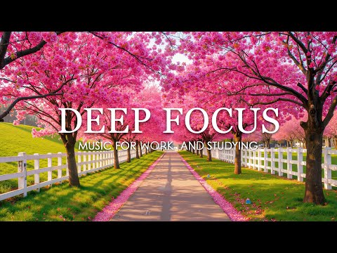 Deep Focus Music for Studying - 3 Hours of Ambient Study Music to Concentrate & Improve Memory #17