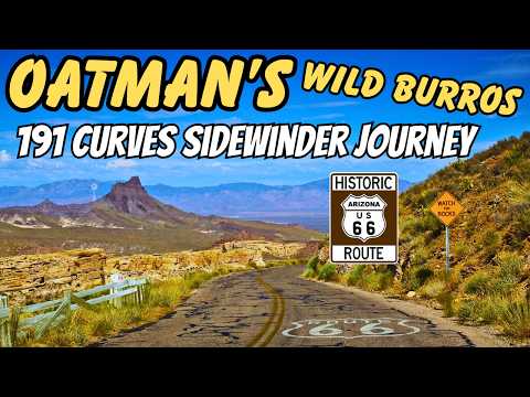 (Wild Burros & 191 Curves): Oatman's Route 66 Adventure