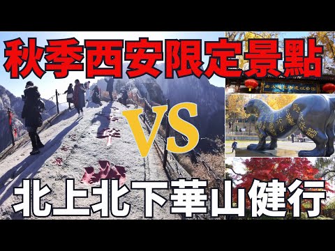 72小時閃遊西安︱【秋天限定】西安市區必訪三個簡捷免費銀杏景點 VS【超越頂峰】目睹令人驚嘆的壯麗華山
