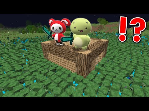 WE ARE SURROUNDED BY ZOMBIES