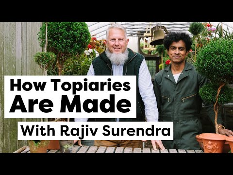 How Topiaries Are Made, With Rajiv Surendra | How It's Made