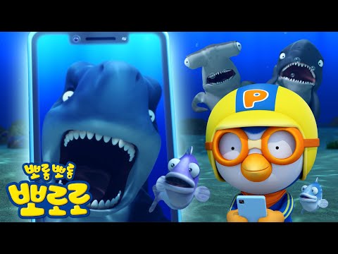 뽀로로 8기 에피소드 | 바닷 속 신기한 이야기🌊 | 뽀로로이야기 | 뽀로로 1시간 이어보기 | 뽀롱뽀롱뽀로로