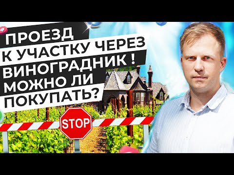 SECRETS OF BUYING LAND IN CRIMEA: DON'T FALL INTO THE VINEYARD TRAP!