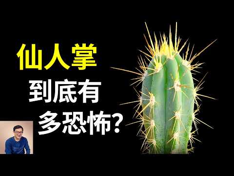 仙人掌最驚人的那些秘密！堪稱植物界的駱駝，入選世界百大入侵物種！仙人掌果（刺梨）和火龍果什麼區別？【老肉雜談】#生物 #植物 #仙人掌 #知識 #科普