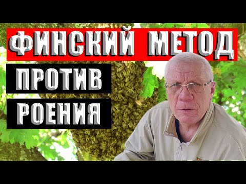 Борьба с роением пчел. Самый простой Финский метод.