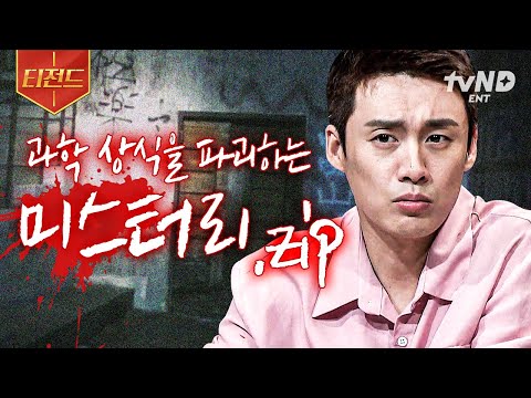 [#프리한19] 세계 곳곳에서 일어나는 믿을 수 없는 사건들 📁전 세계의 미스터리.zip | #티전드