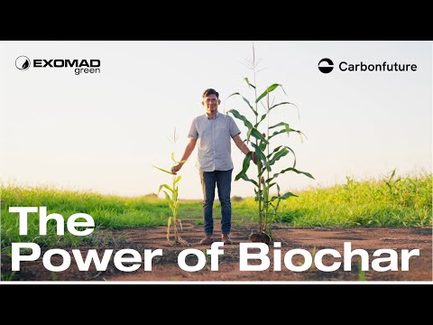 The Power Of Biochar