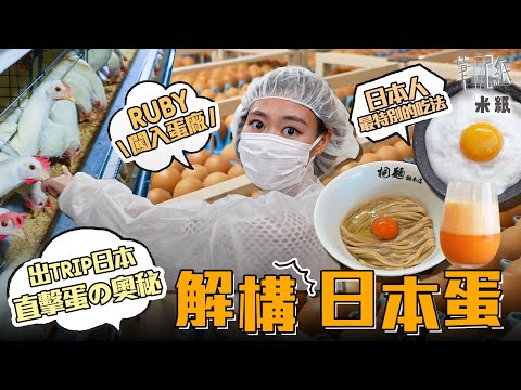 #米紙｜港人勁愛日本蛋 年銷4億隻の秘密 直擊日本農場+雞蛋廠生產雞蛋的奧妙 匠人精神研發生蛋新奇料理 啡蛋白蛋不同之處原來係？#筆記紙