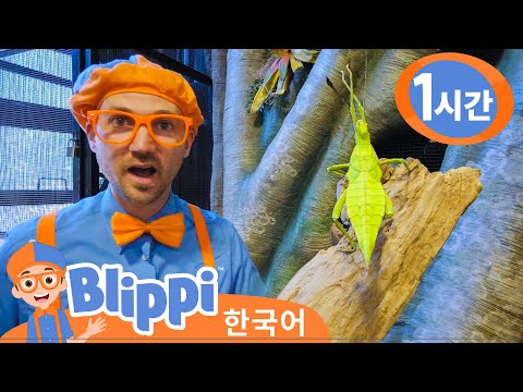 블리피와 대벌레 - 곤충에게 먹이를 줘요! 외 3편・블리피 한국어 | 어린이 교육 동영상