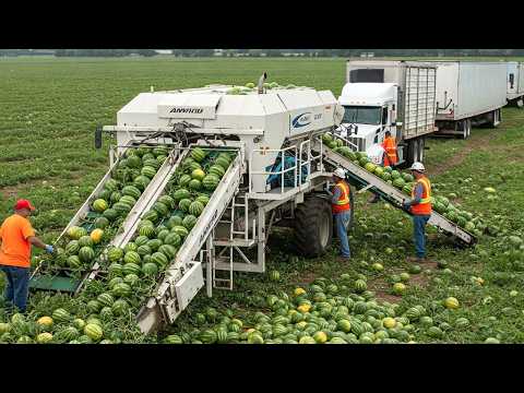Modern Agriculture Machines on Another Level – Saving Farmers Millions #2