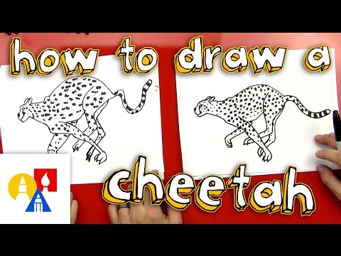 How To Draw A Cheetah