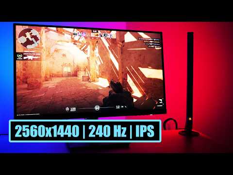 240Hz for $250: The Truth About Titan Army Monitor P2510S