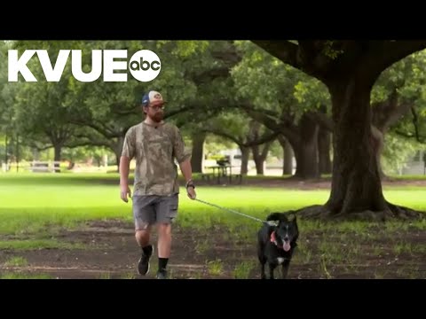 A Vietnam veteran in North Texas passed away, then his mailman adopted his dog