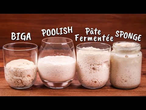 Yeasted Preferments Compared | Biga, Poolish, Pâte Fermentée, Sponge | Which One Is Best?
