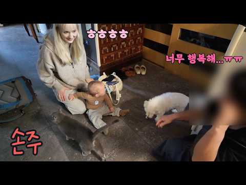 유럽에 사는 손주가 한국에 와서 눈물을 흘리시는 시어머니