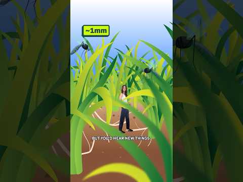 What If You Just Keep Shrinking?