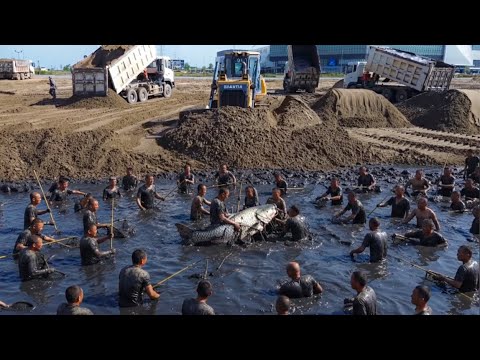 High skilled SHANTUI Bulldozer Moving Black mud and pushing sand to fill pond with 25T Dump Truck 