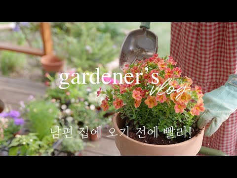 Do  you know what I’ve done when my husband is not at home?