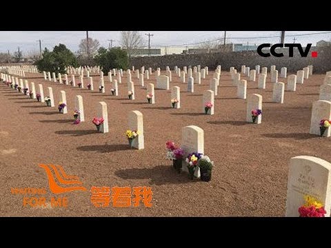 《等著我第四季》 52位中国空军埋葬在大洋彼岸 74年后侄女替“二叔们”寻家 20180805 | CCTV