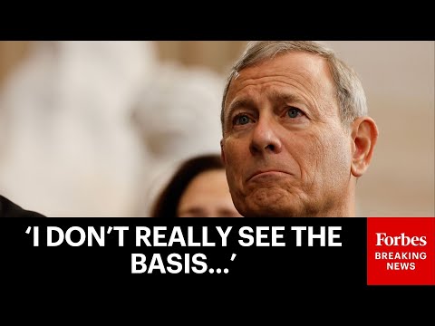 Chief Justice Robert Presses Attorney On Difference Between First And Second Amendment