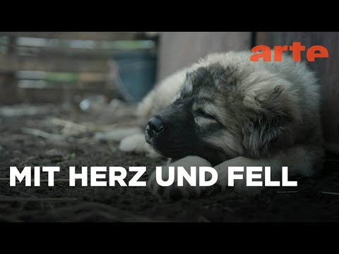 | 360° Reportage | ARTE Family