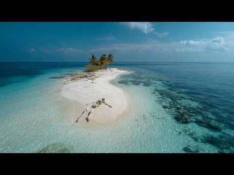 Stranded Man's Found Journal Reveals Horrifying End