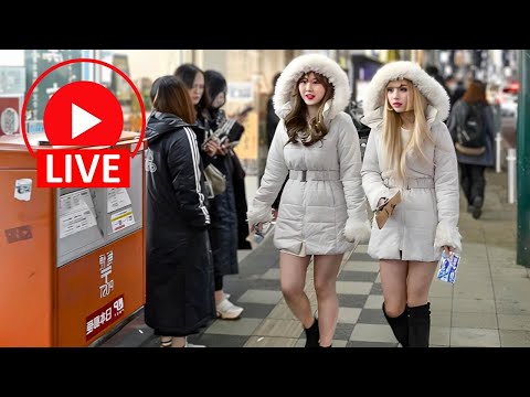 Tokyo Nightlife Unfiltered: Live Adventure