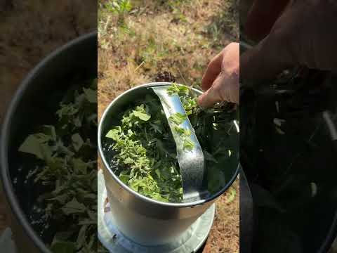 Raising meat rabbits: watering #garden #homestead #meatrabbits