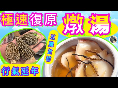 羊肚菌燉湯💛全面增強體格🎯防治百病💪🏻清燉秘訣💫身體虛弱/病後復原最啱飲💯記得分享/點讚/留言🍀