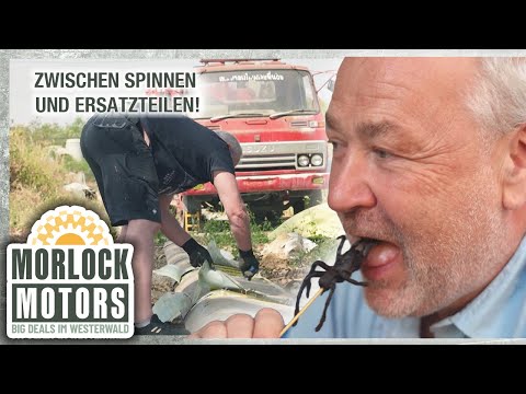 Zwischen FRITTIERTEN SPINNEN und Flugzeugteilen! War der Thailand-Trip erfolgreich? | Morlock Motors