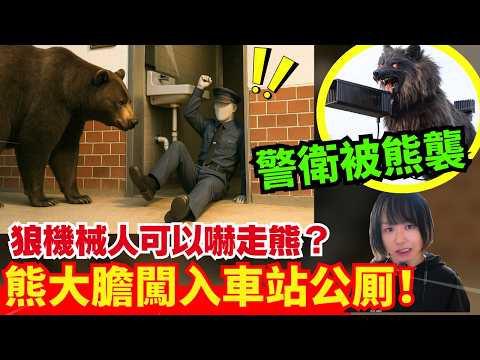 【日本熊襲警號🚨】熊大膽闖入車站廁所襲擊保安！狼型機械人可以嚇走熊？為何熊不冬眠？超市亦有熊闖入！熊連環襲擊事件 | 日本新聞報導 | CC中文字幕 #熊出沒 #柴犬 #廣東話 #新聞 #突發