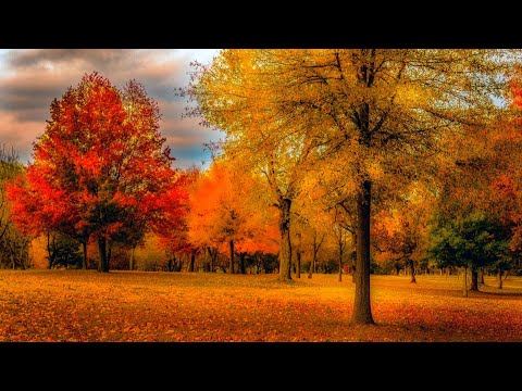 Сборник музыки для души (осень)